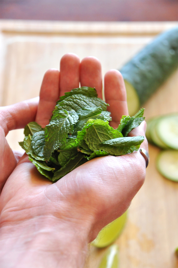 mint leaves Fresh mint leaves and cucumber for making a refreshing summer cocktail recipe