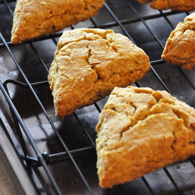 Batch of homemade Pumpkin Scones on a cooling rack