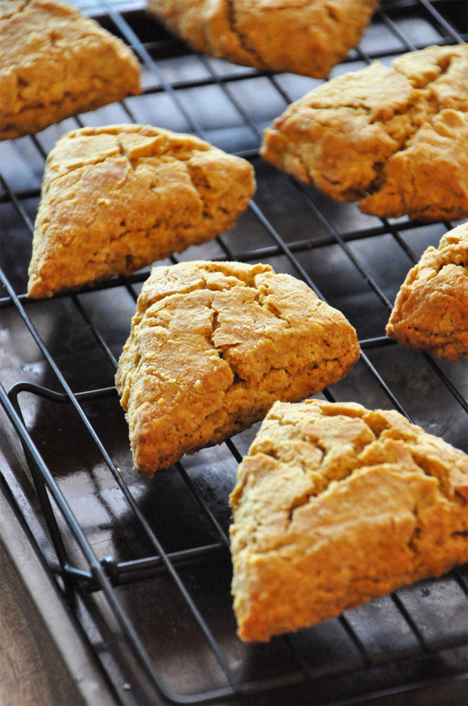 Pumpkin Scones | Minimalist Baker Homemade Pumpkin Scones cooling on a rack