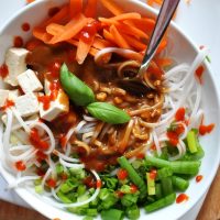 Big bowl of our Asian Noodle Bowl recipe made with Ginger Peanut Dressing