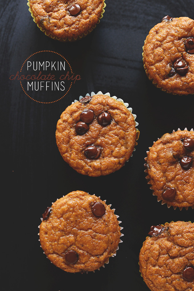 Batch of vegan Pumpkin Chocolate Chip Muffins