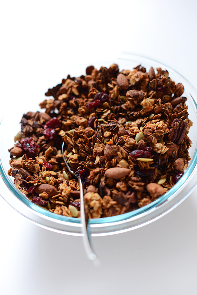 Big bowl of our Sweet Potato Cranberry Granola recipe