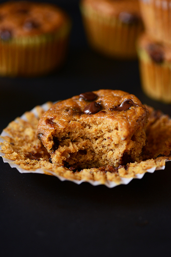 Revealing the soft inside of a Vegan Pumpkin Chocolate Chip Muffin