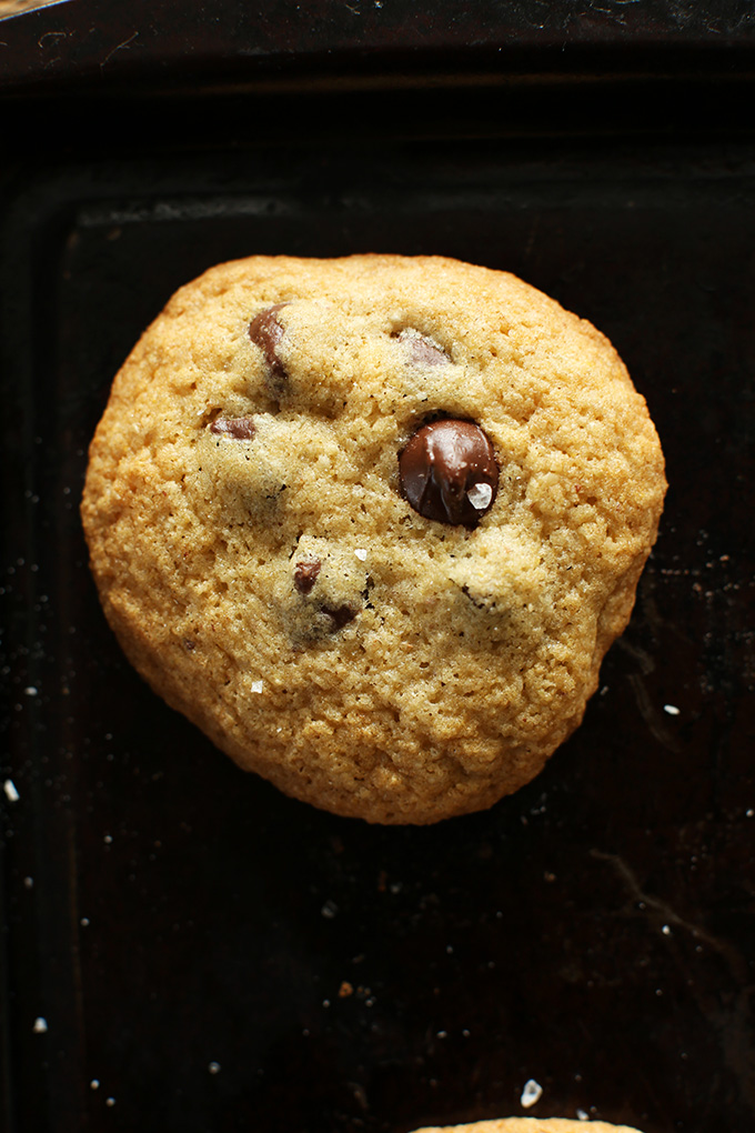 Close up shot of a Gluten-Free Chocolate Chip Cookie on a baking sheet