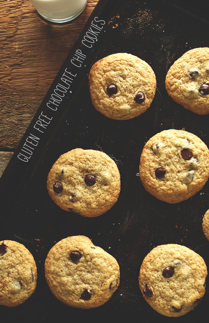 Batch of our Gluten-Free Chocolate Chip Cookies recipe with a glass of almond milk