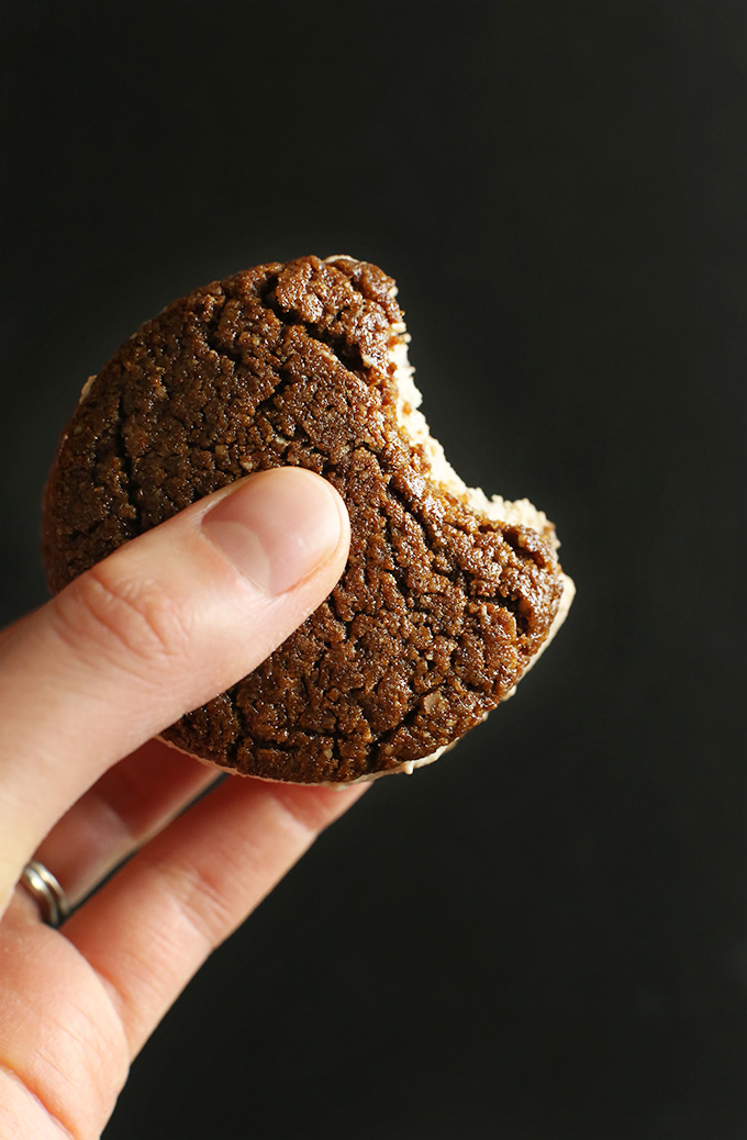 Holding up a gluten-free vegan Chai Ice Cream Sandwich
