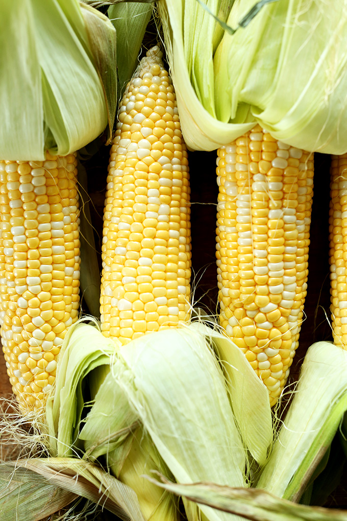 Partially peeled ears of corn for making Summer Vegan Corn Chowder Soup