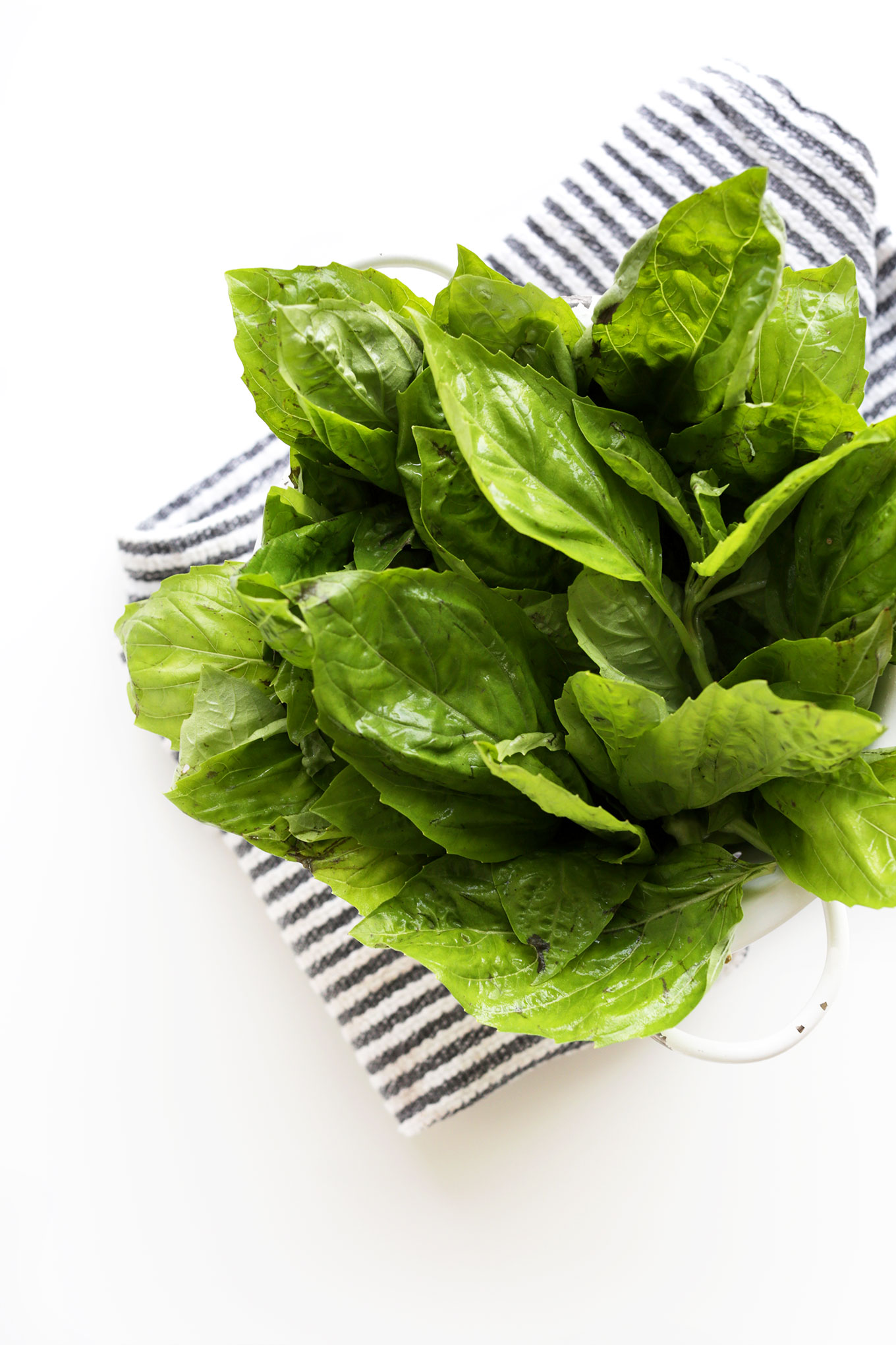 Freshly washed basil leaves in a colander