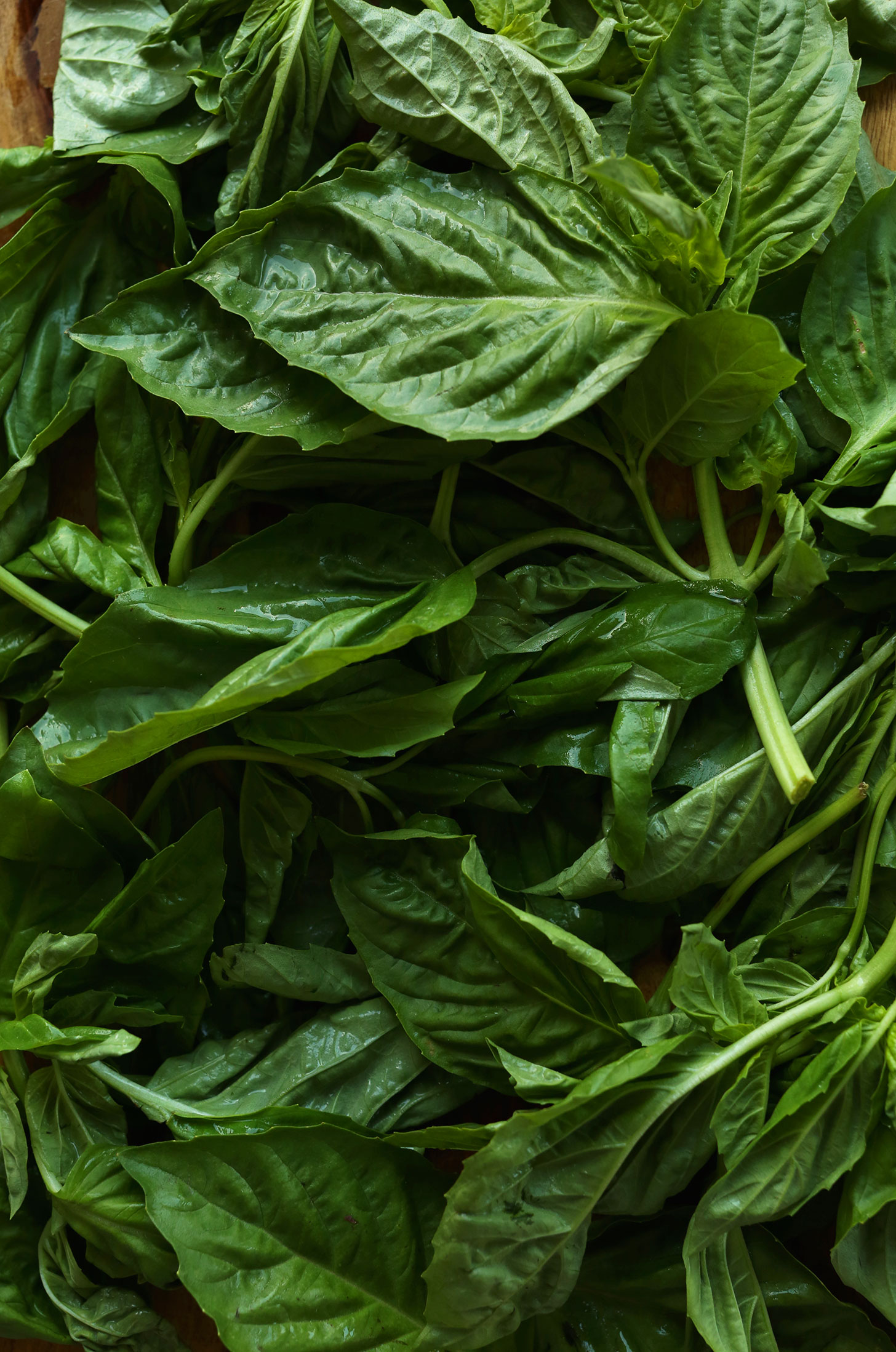 Fresh basil for making healthy vegan sweet potato lasagna