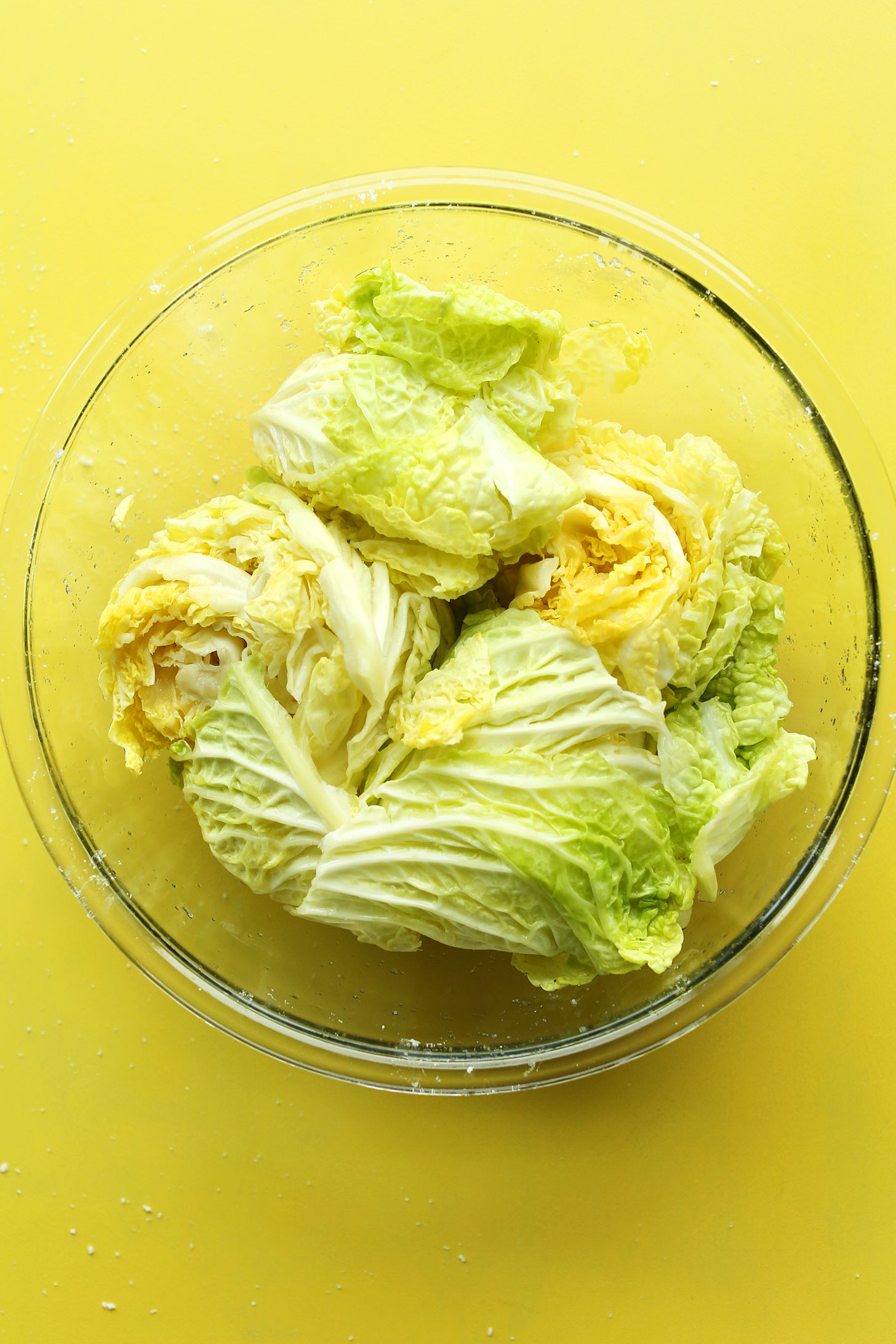 Bowl of napa cabbage for making our easy vegan kimchi recipe