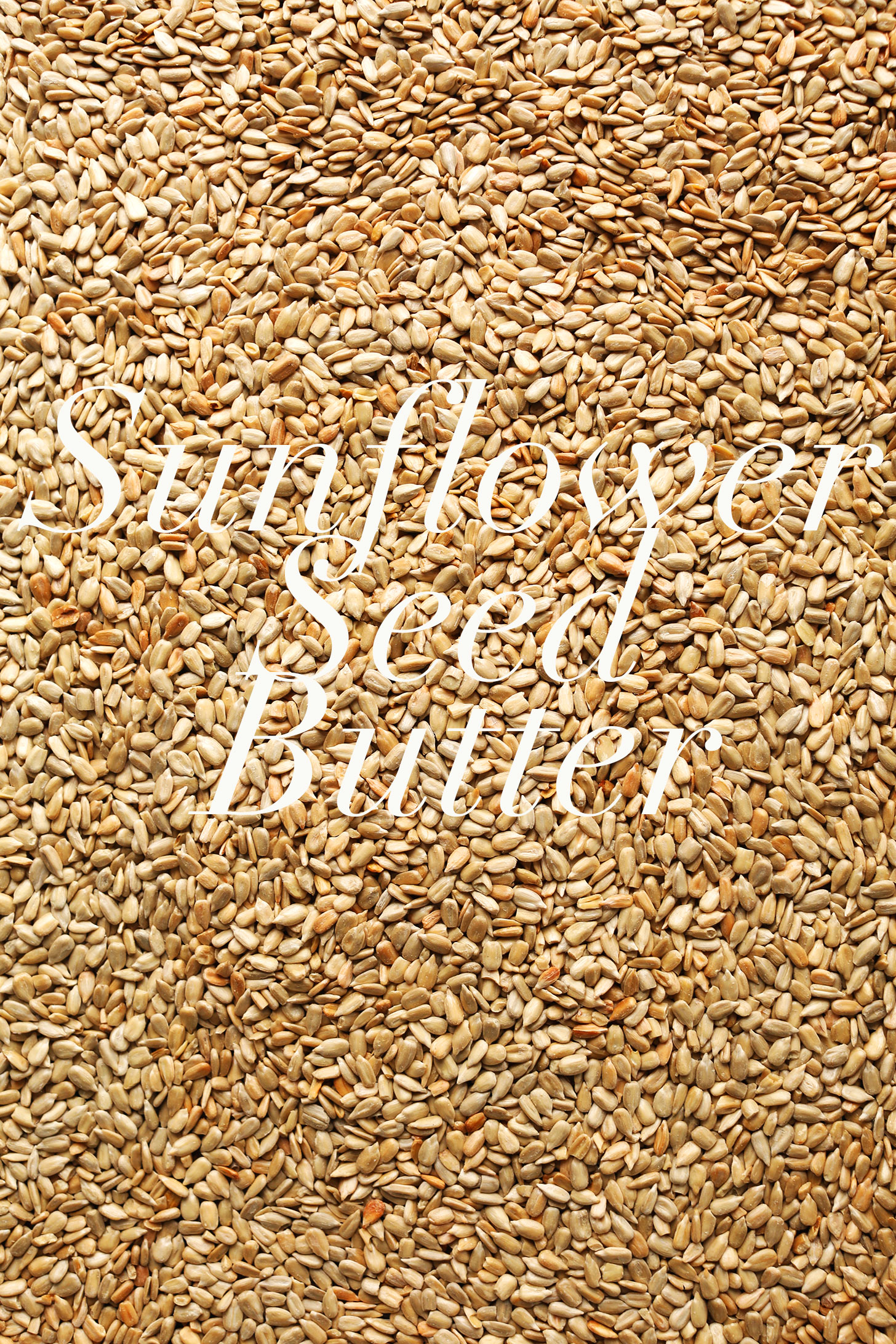 Tray of sunflower seeds for making homemade sunflower seed butter