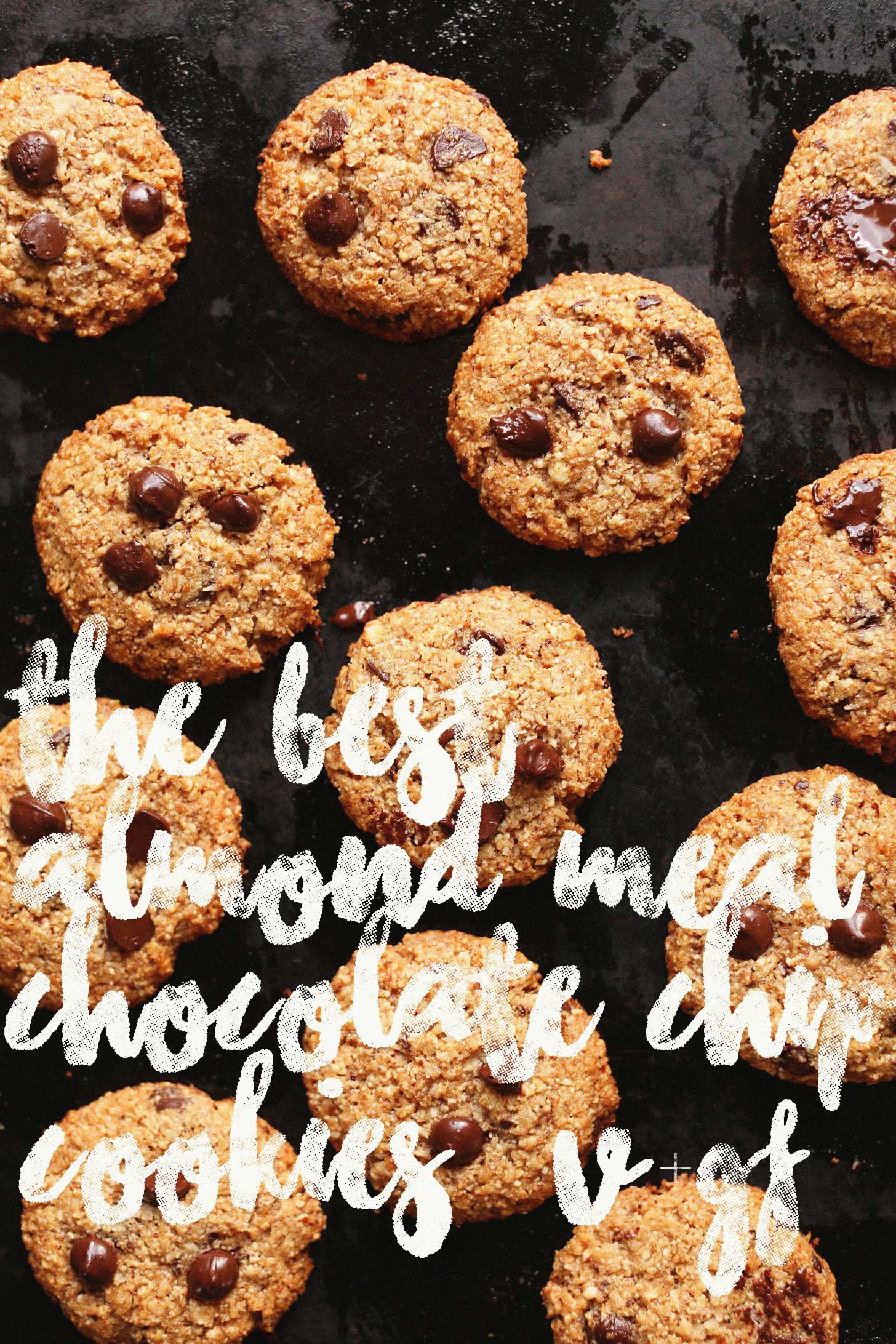 The best gluten-free and vegan Chocolate Chip Cookies on a cookie sheet