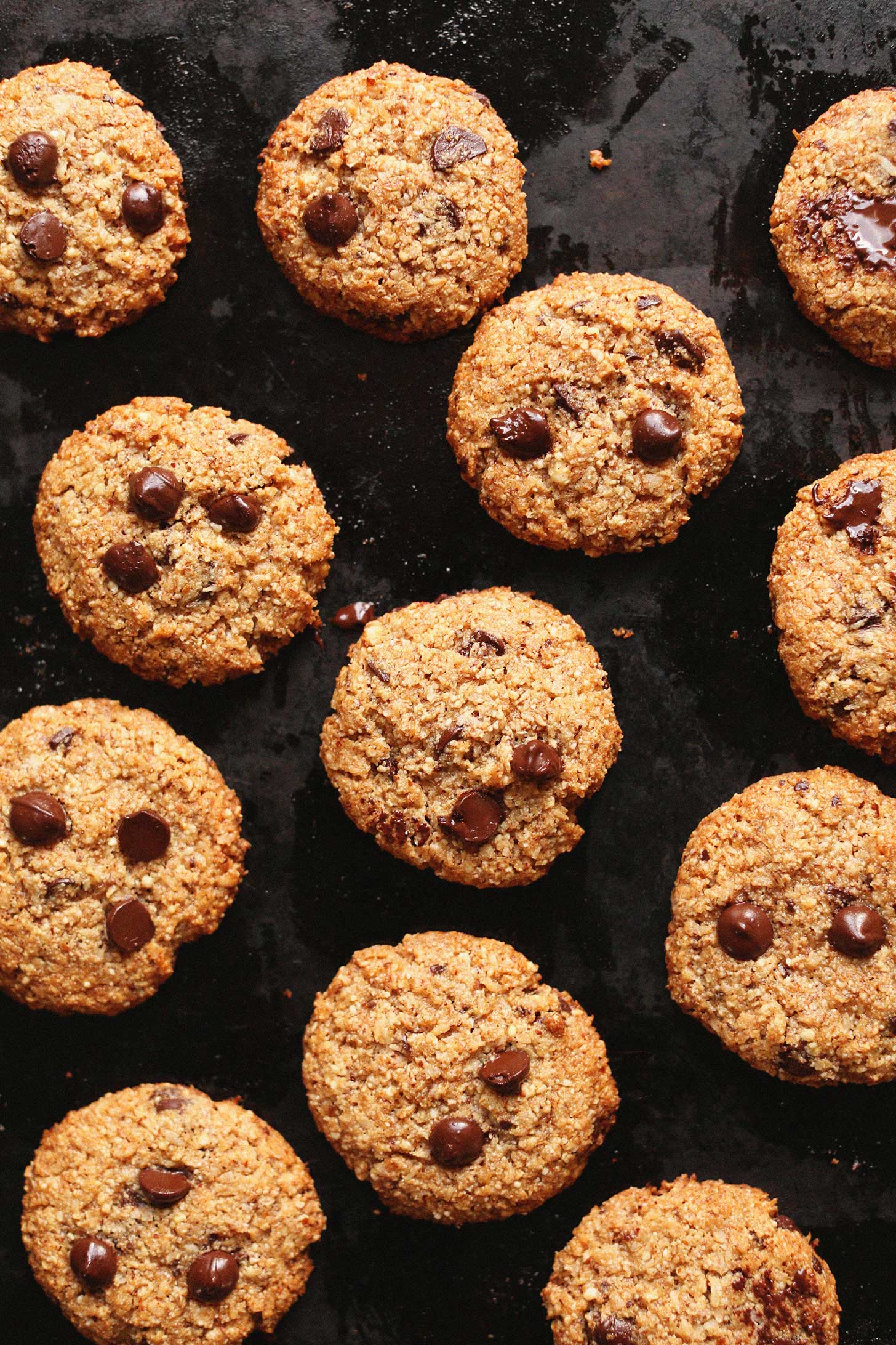 THE BEST EVER Almond Meal Chocolate Chip Cookies with coconut! Crunchy on the outside, chewy on the inside, SO tasty! #vegan #glutenfree #cookies #recipe