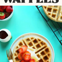 Vegan gluten-free waffle on a plate with text above that says just 10 ingredients and the best