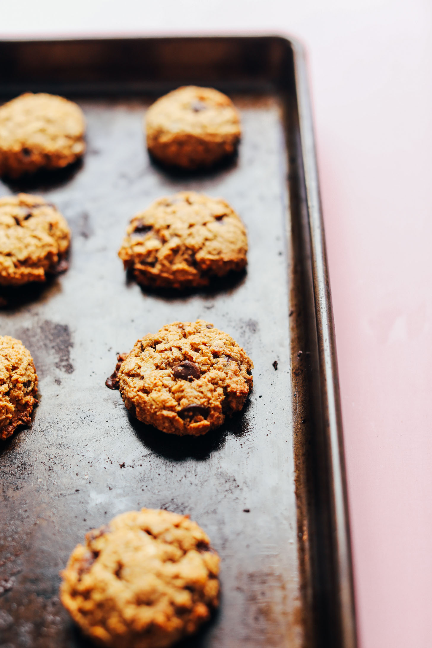 Baking sheet with freshly baked Healthy Gluten-Free Oatmeal Chocolate Chip Cookies