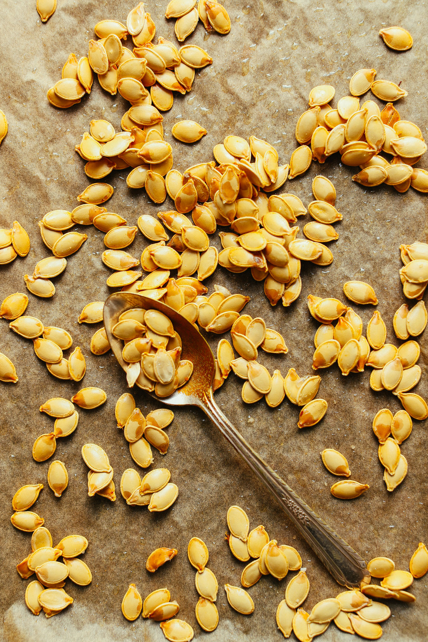 Spoon scooping up fresh pumpkin seeds to make our Roasted Pumpkin Seeds recipe