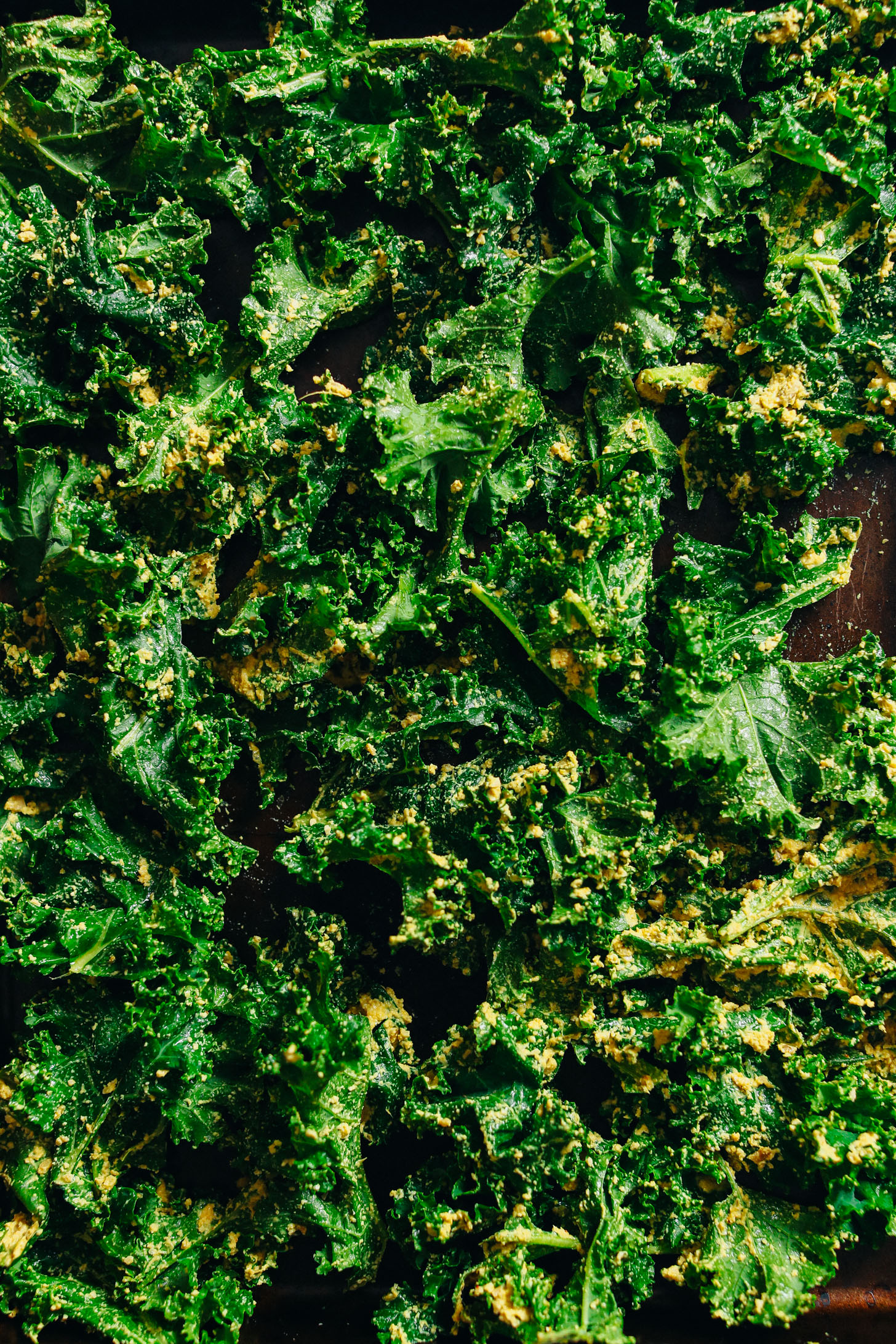 Baking sheet filled with coated kale leaves for making delicious crispy kale chips