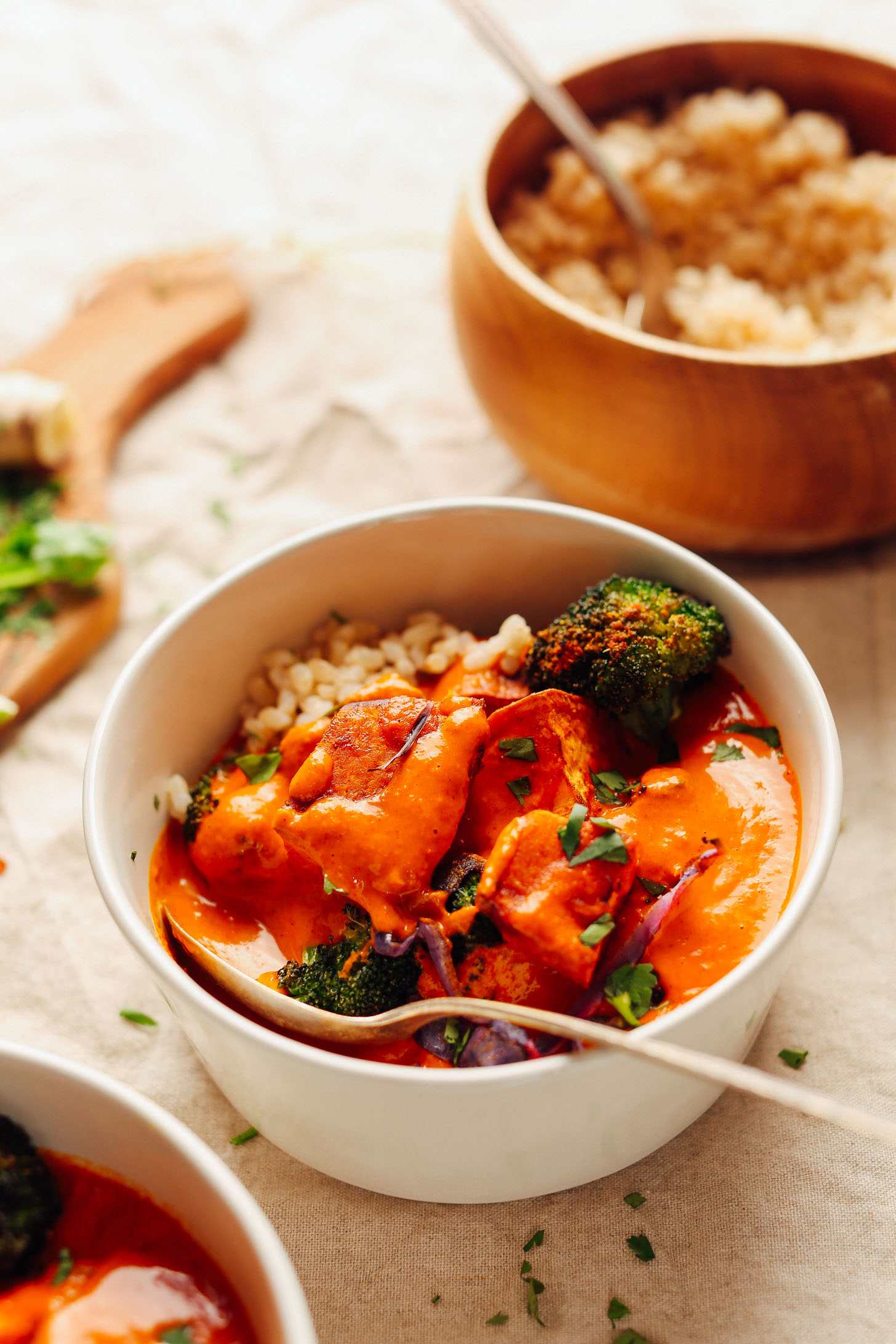 Close up shot of a bowl of our vegan gluten-free Rich Red Curry with Roasted Vegetables recipe