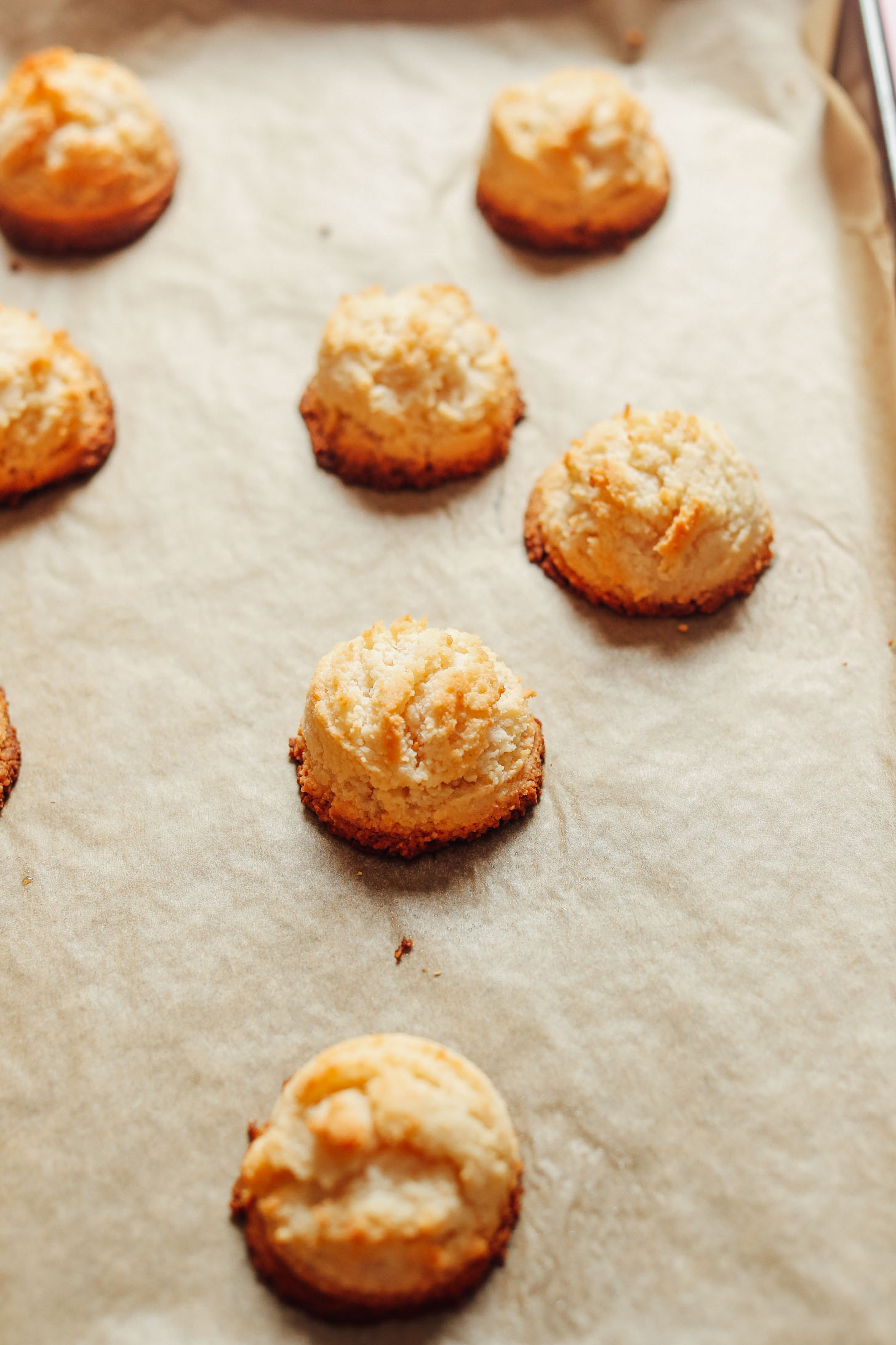 Parchment-lined baking sheet with a batch of freshly baked Vegan Coconut Snowball Cookies