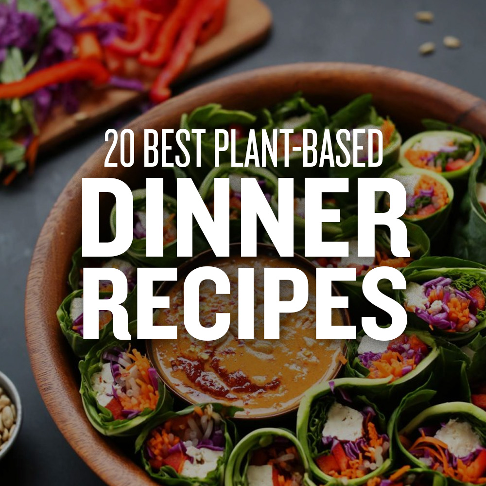 Bowl of fresh salad rolls with text overlaid saying 20 Best Plant-Based Dinner Recipes