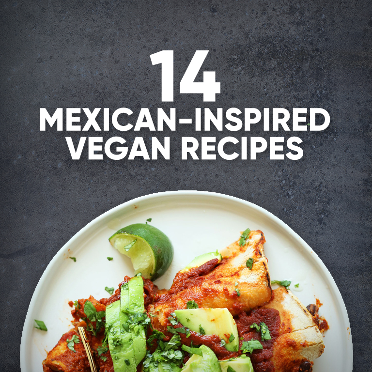 Plate of Butternut Squash Black Bean Enchiladas