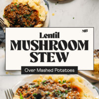 Overhead and angled views of plates of our lentil mushroom stew over mashed potatoes