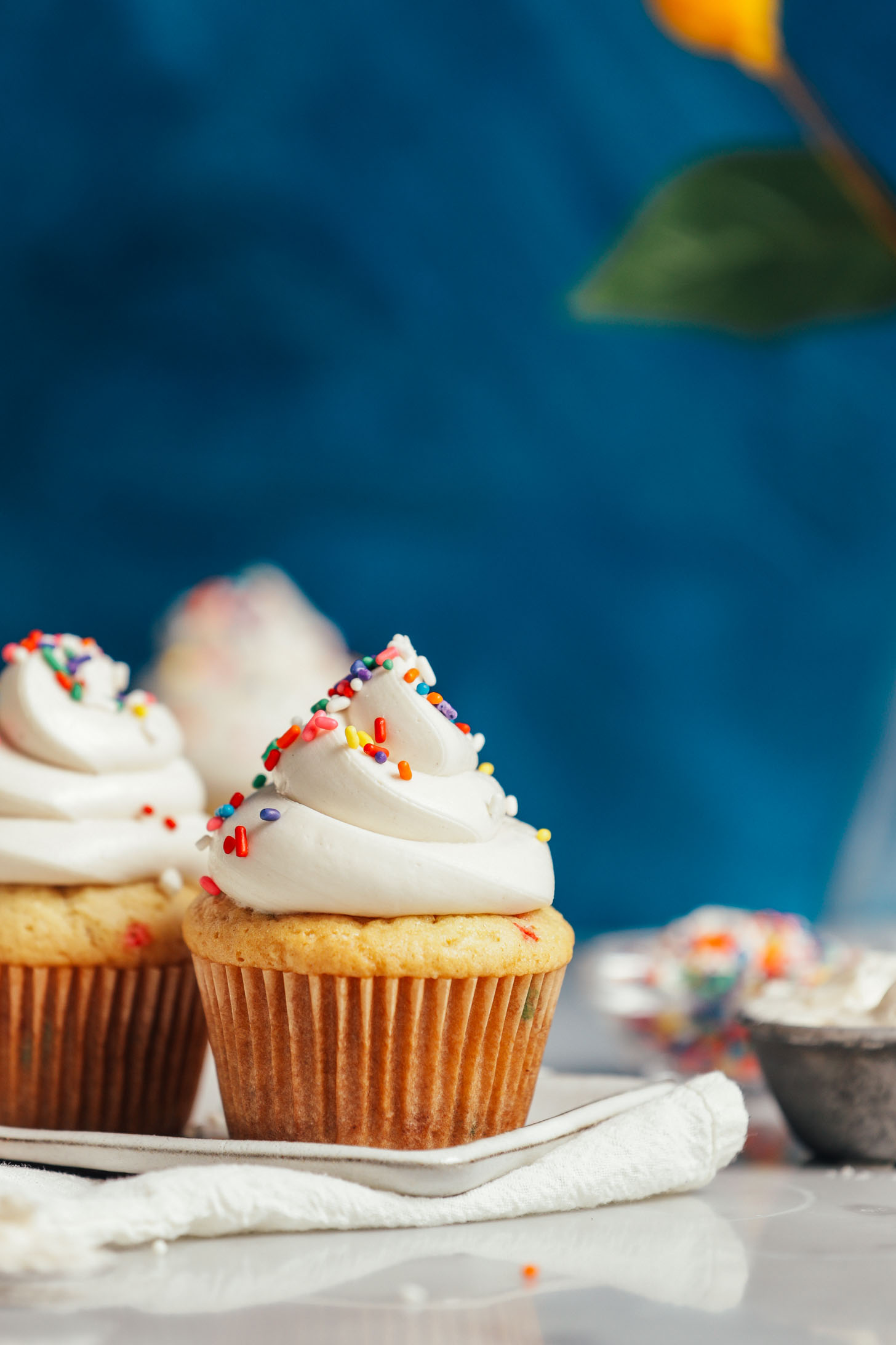 Vanilla cupcakes decorated with vegan buttercream frosting and rainbow sprinkles
