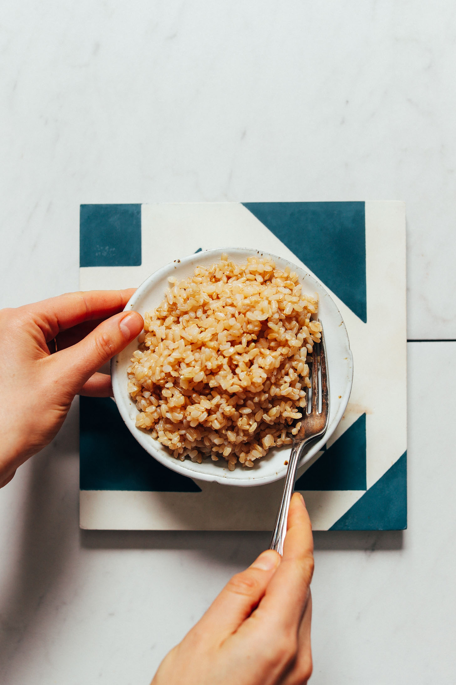 Fork resting in a bowl of Instant Pot brown rice