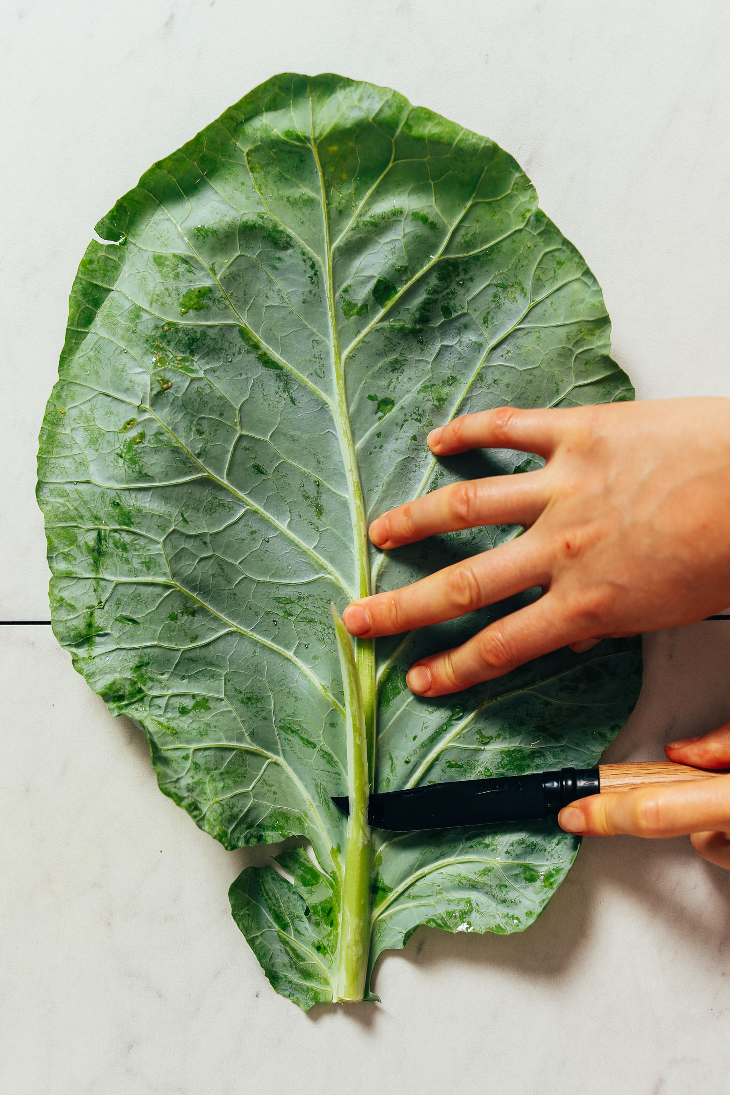 Showing how to cut a collard green leaf to make wraps that don't break