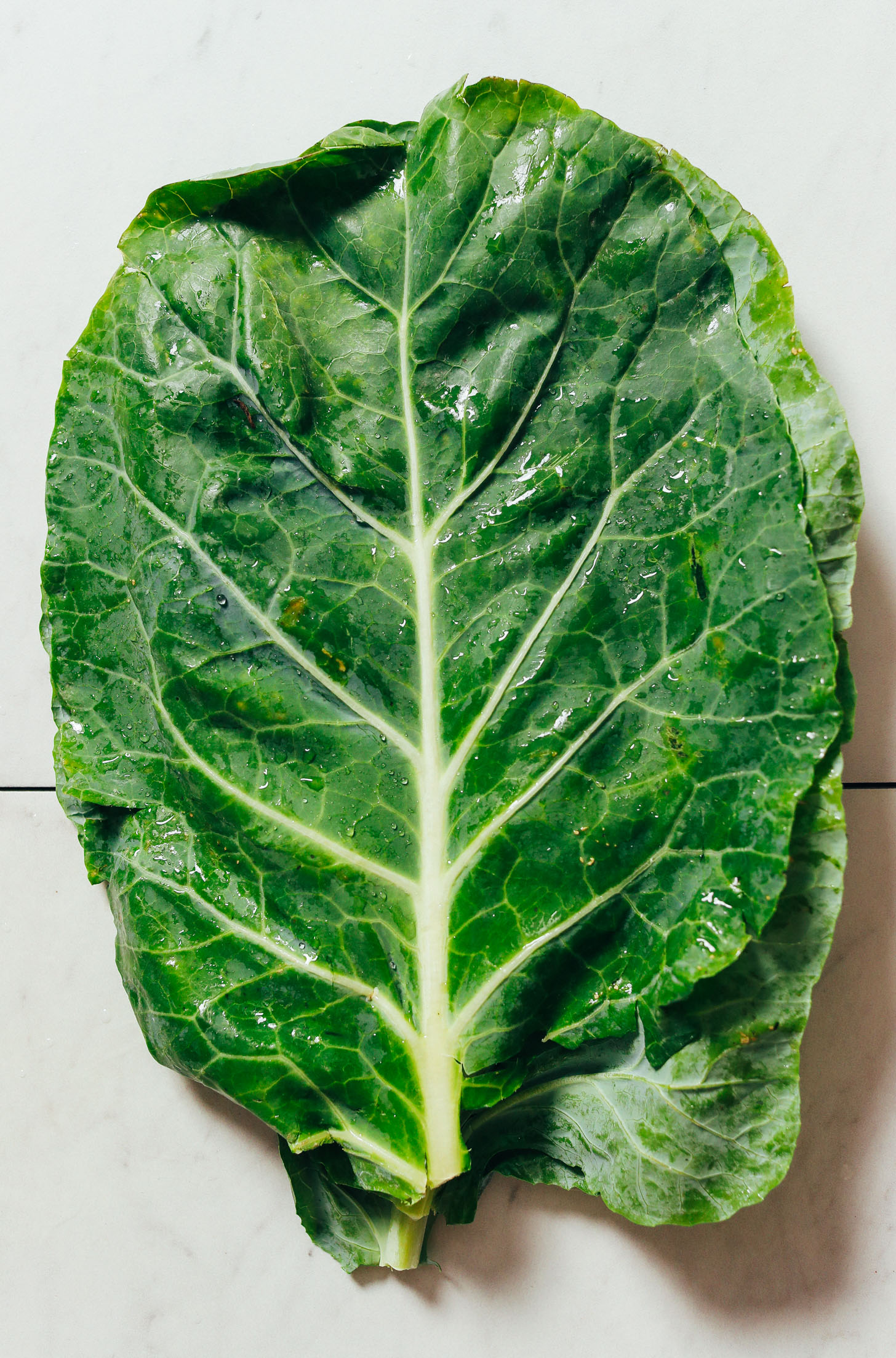 Freshly washed collard green leaves