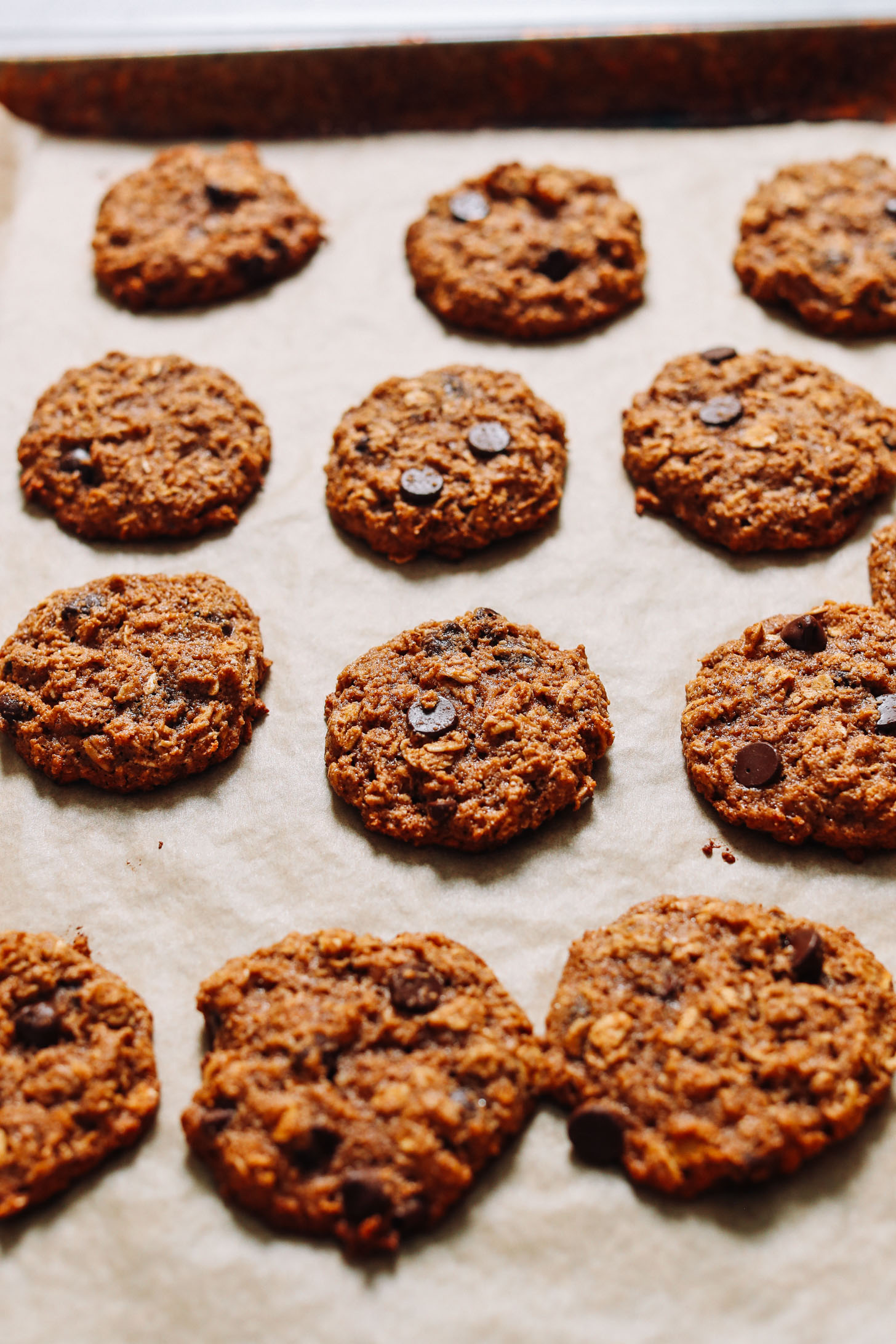 Baking sheet of freshly baked Pumpkin Chocolate Chip Cookies