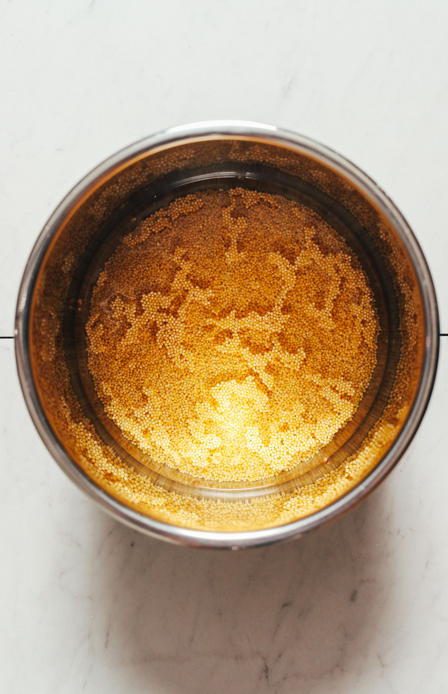 Millet and water in an Instant Pot