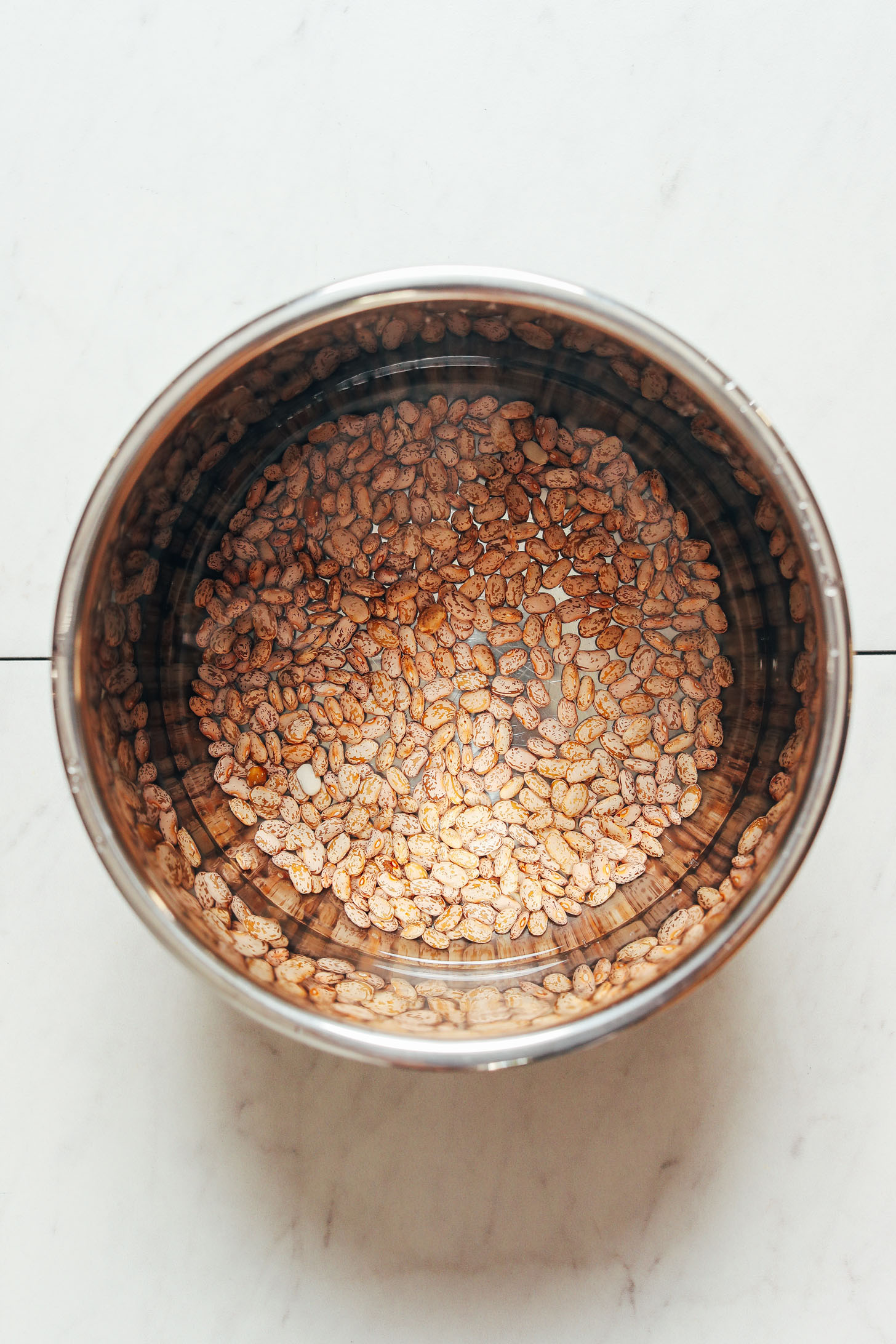 Instant Pot with dry pinto beans and water