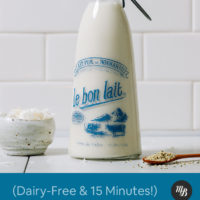 Jar of homemade Coconut Hemp Milk next to a bowl or coconut flakes and spoonful of hemp seeds