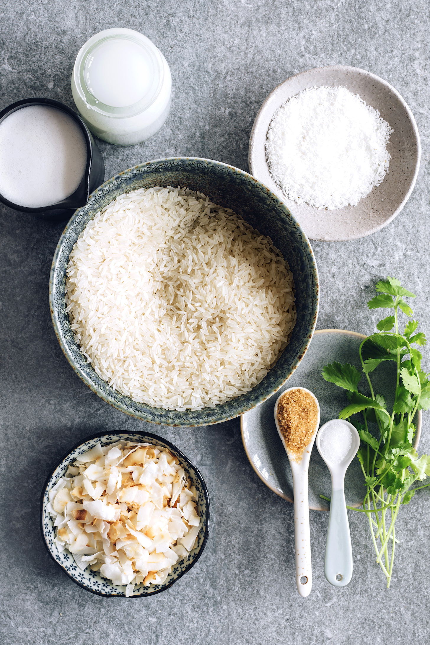 Dairy-free milk, coconut water, rice, shredded coconut, salt, sugar, cilantro, and coconut flakes