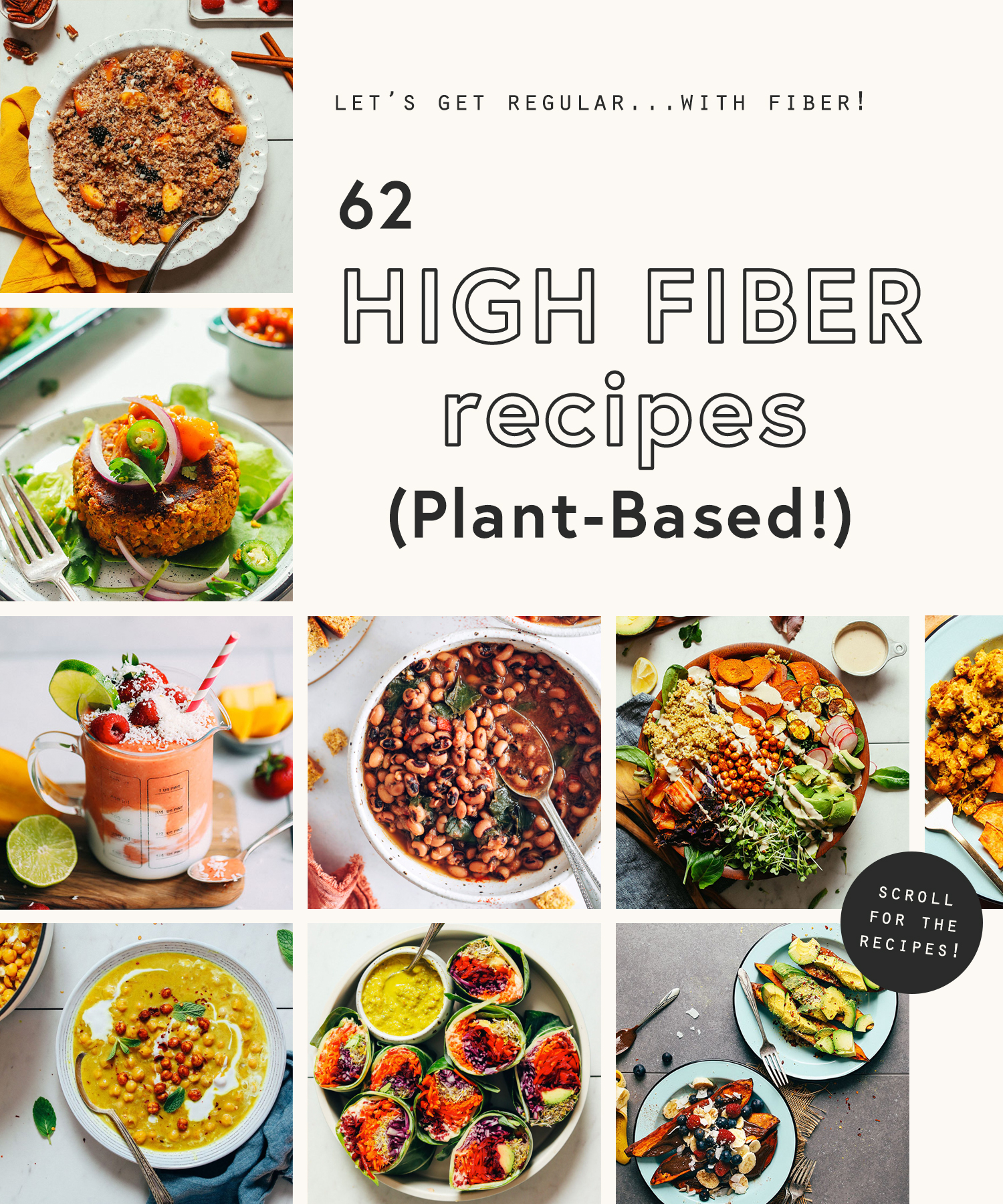 Assortment of high fiber recipes