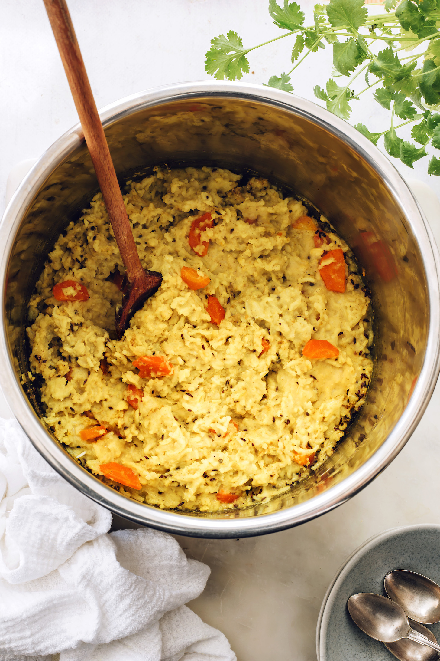 Instant Pot kitchari with carrots