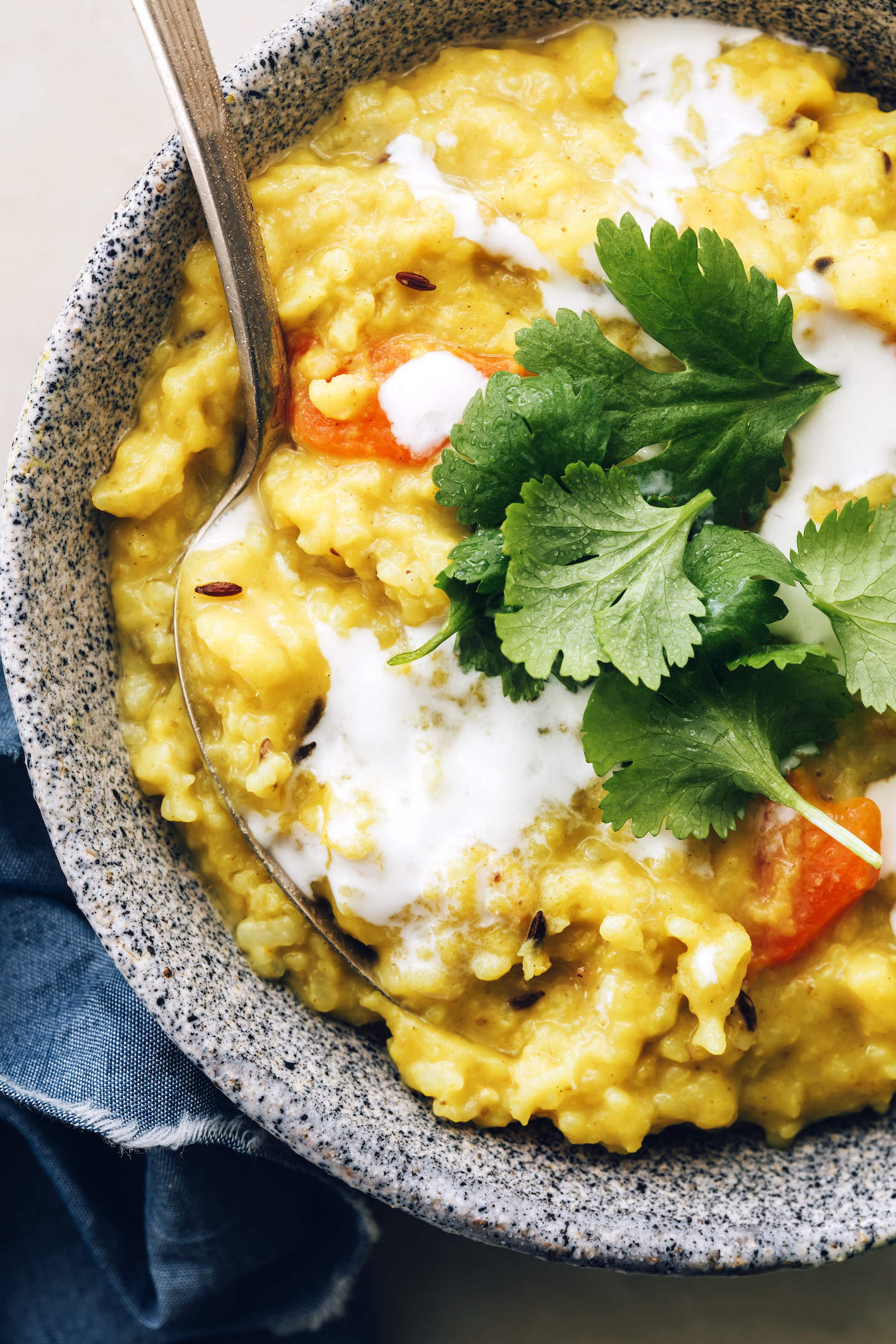Close up shot of a bowl of kitchari topped with cilantro and coconut milk