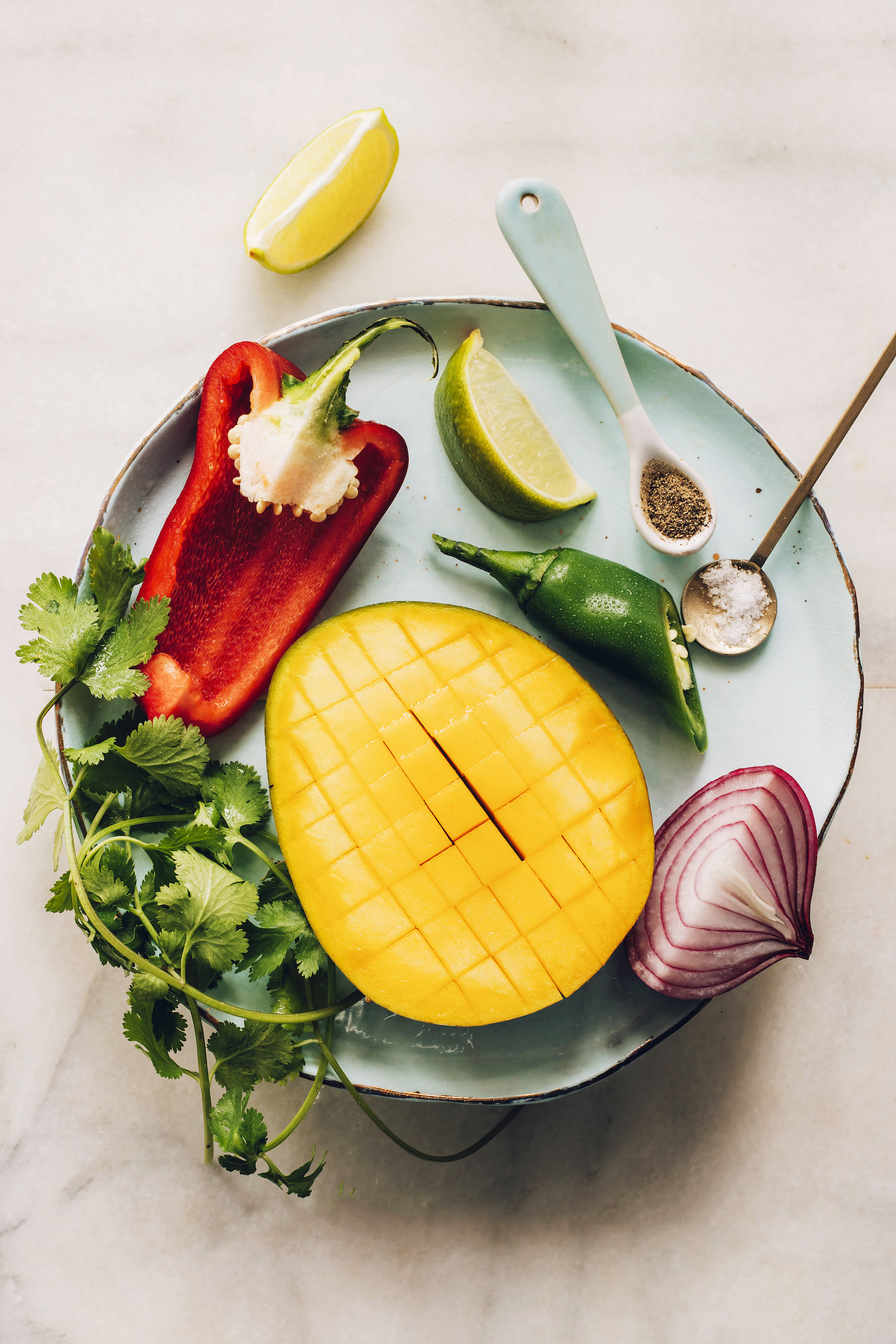 Sliced mango, cilantro, bell pepper, lime, jalapeño, salt, pepper, and red onion