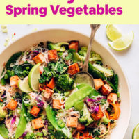 Big bowl of tofu noodle stir fry with spring vegetables