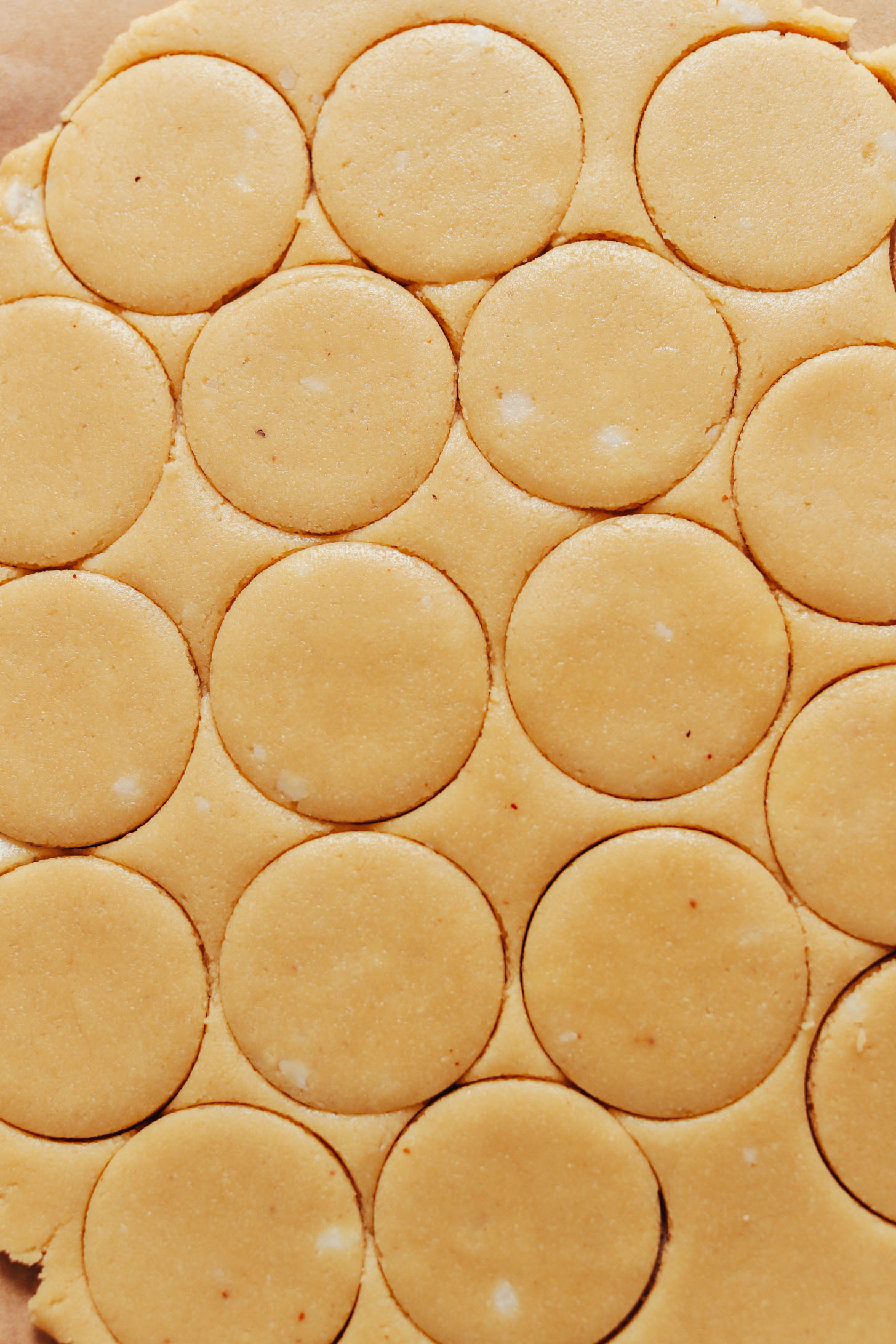 Vegan gluten-free shortbread cookie dough cut into circles with a cookie cutter