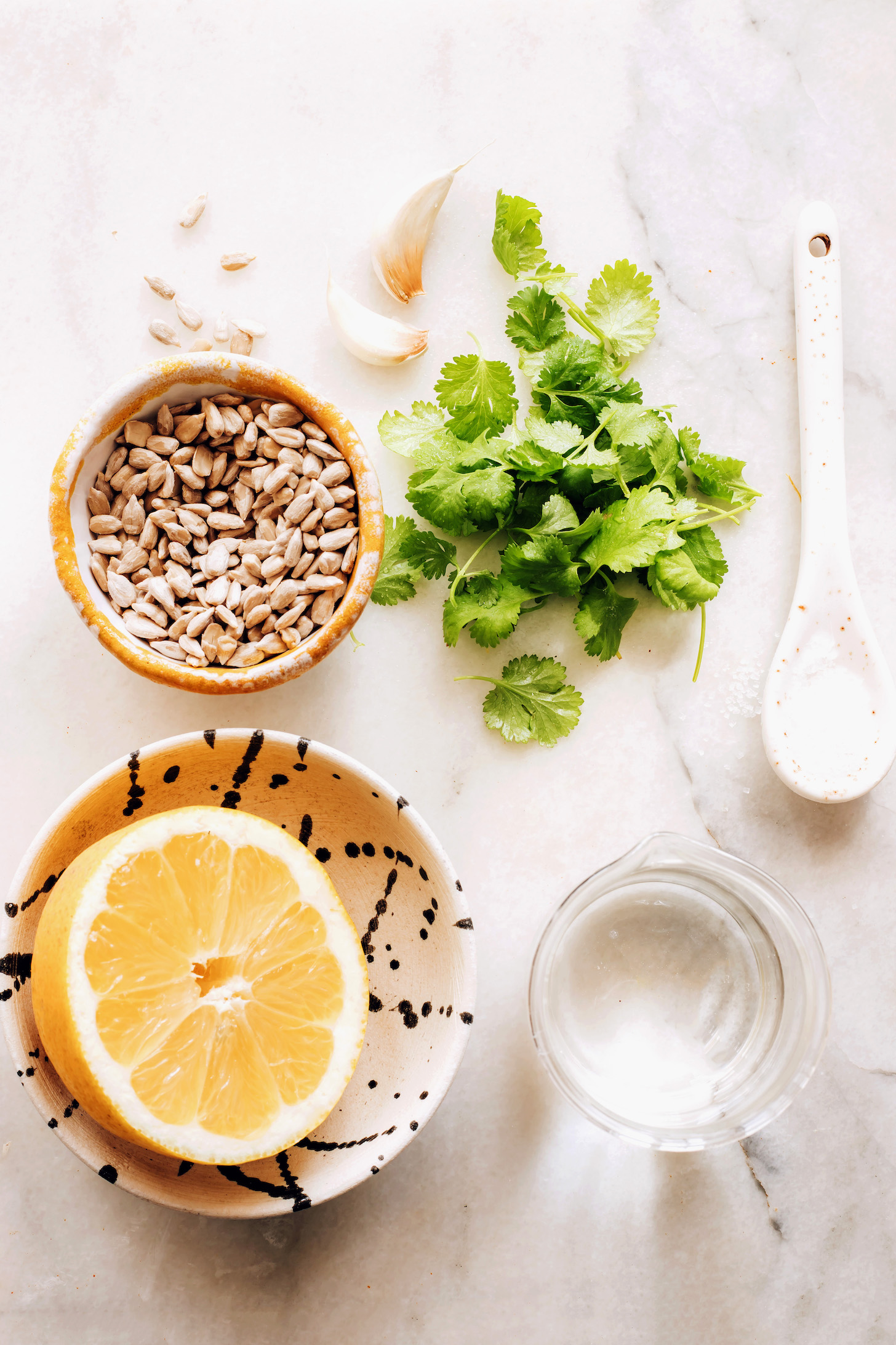Sunflower seeds, garlic, cilantro, salt, water, and lemon