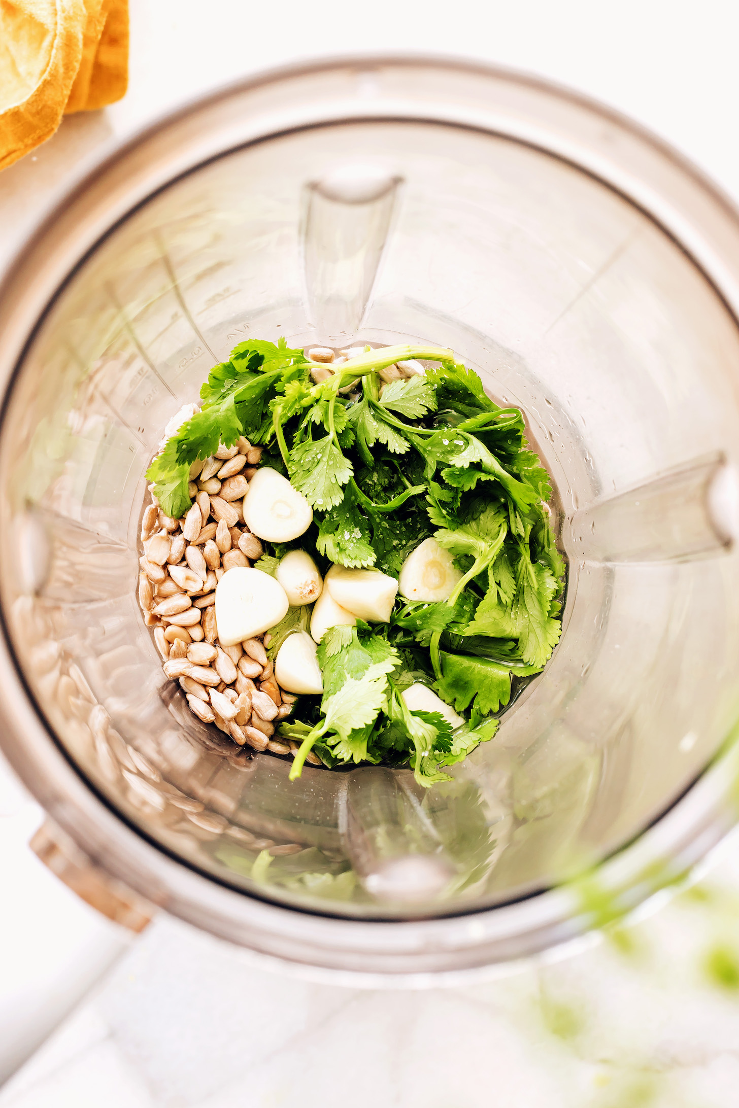 Sunflower seeds, garlic, cilantro, lemon juice, and salt in a blender