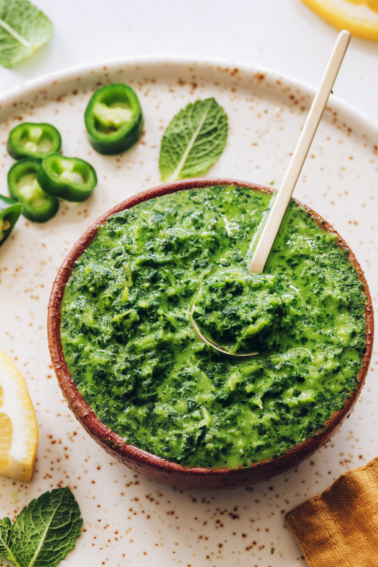 Spoon in a bowl of our easy mint chutney recipe