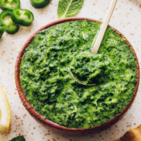 Spoon in a bowl of mint chutney