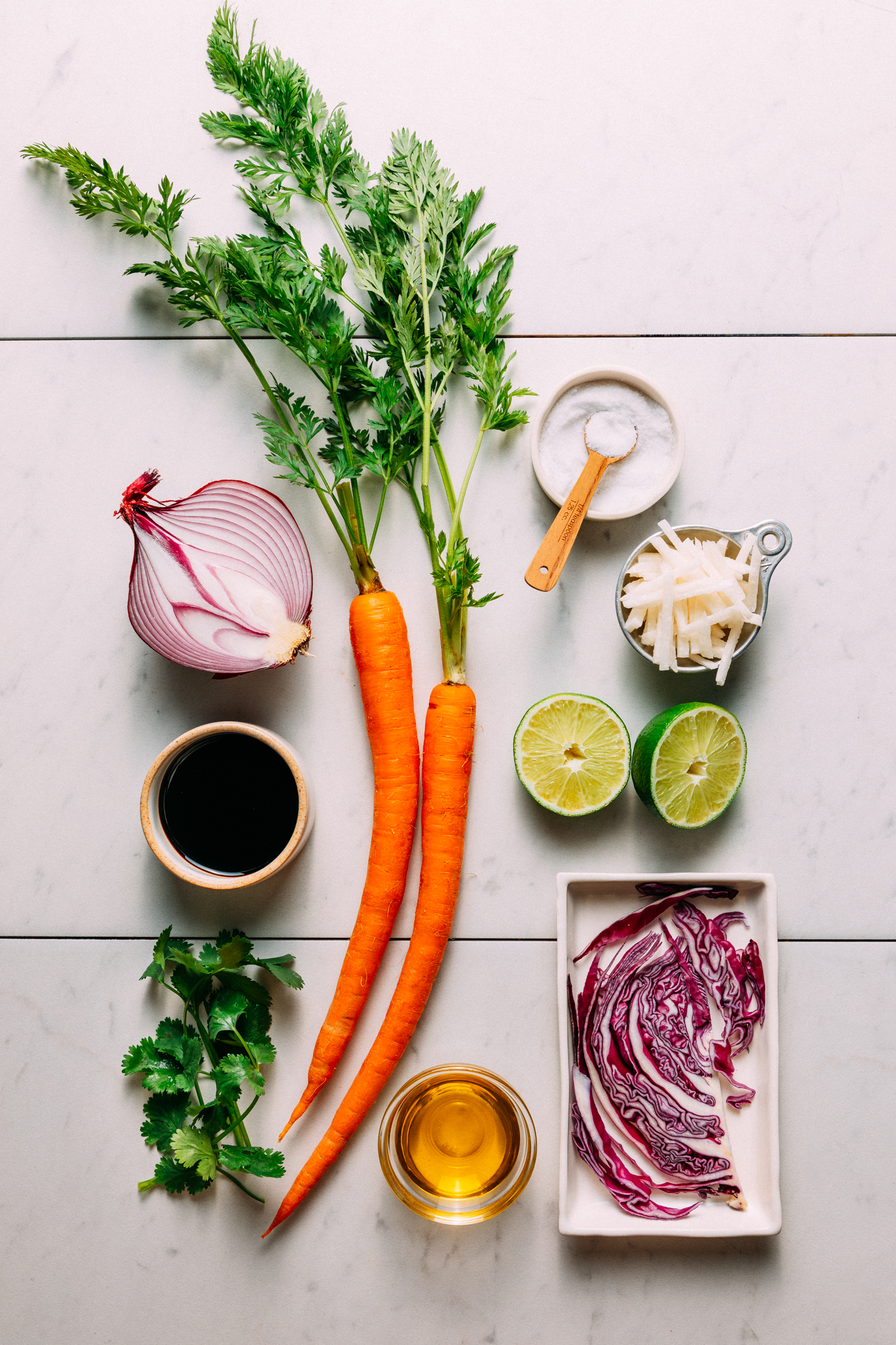 Red onion, carrots, balsamic vinegar, lime juice, olive oil, cabbage, lime, jicama, and salt