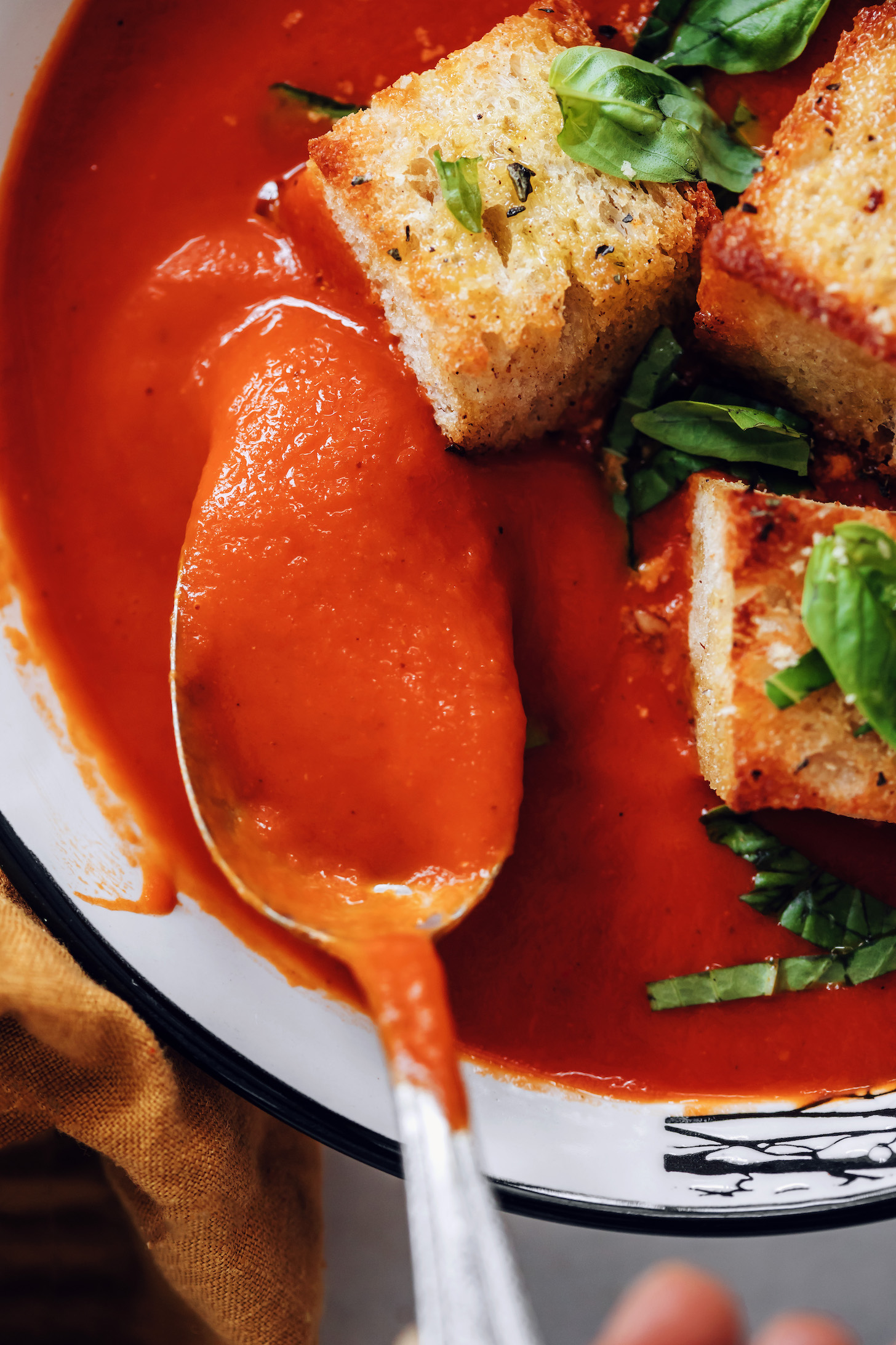 Close up shot of a spoonful of creamy tomato soup