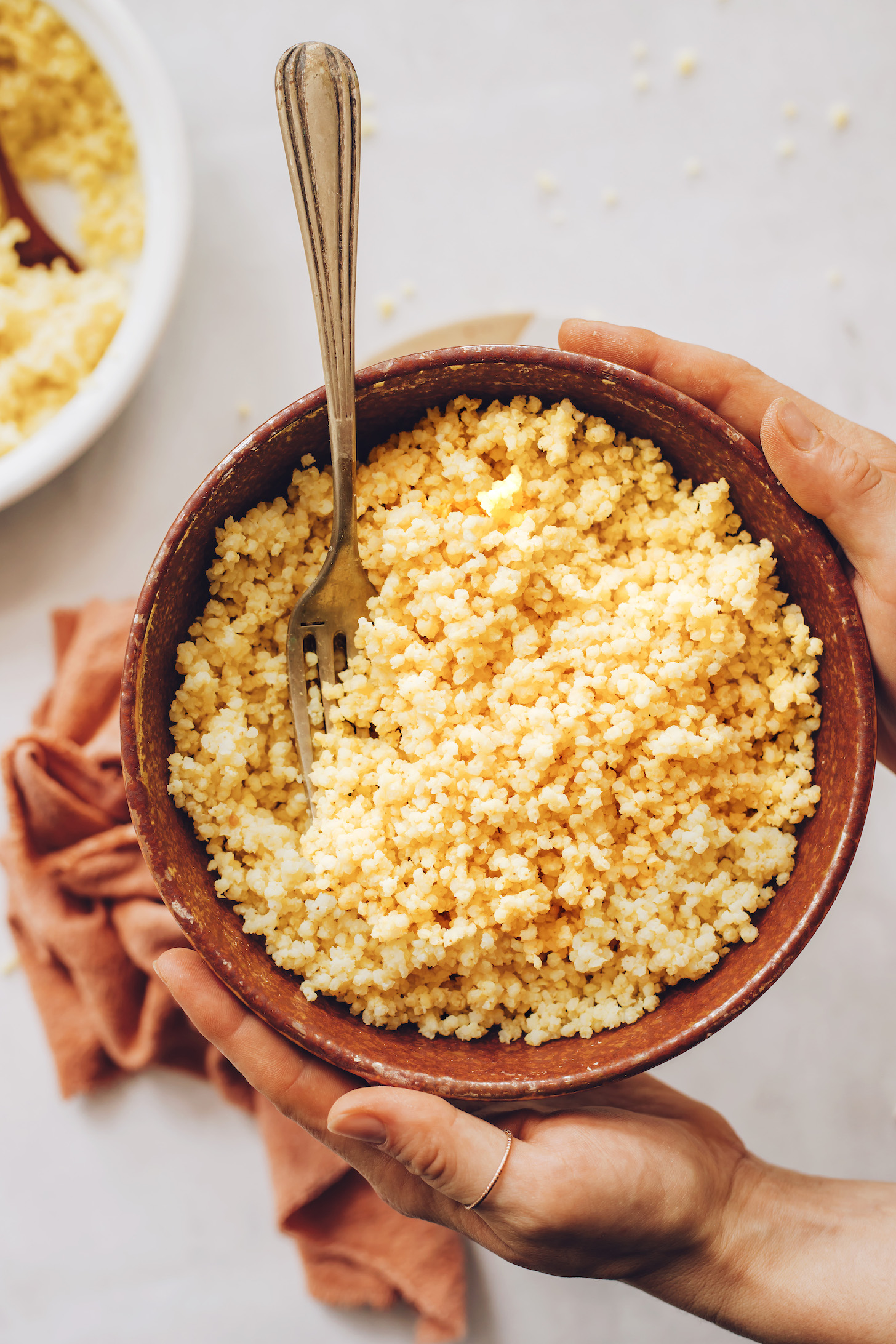 Bowl of millet for our easy tutorial on how to cook millet perfectly every time