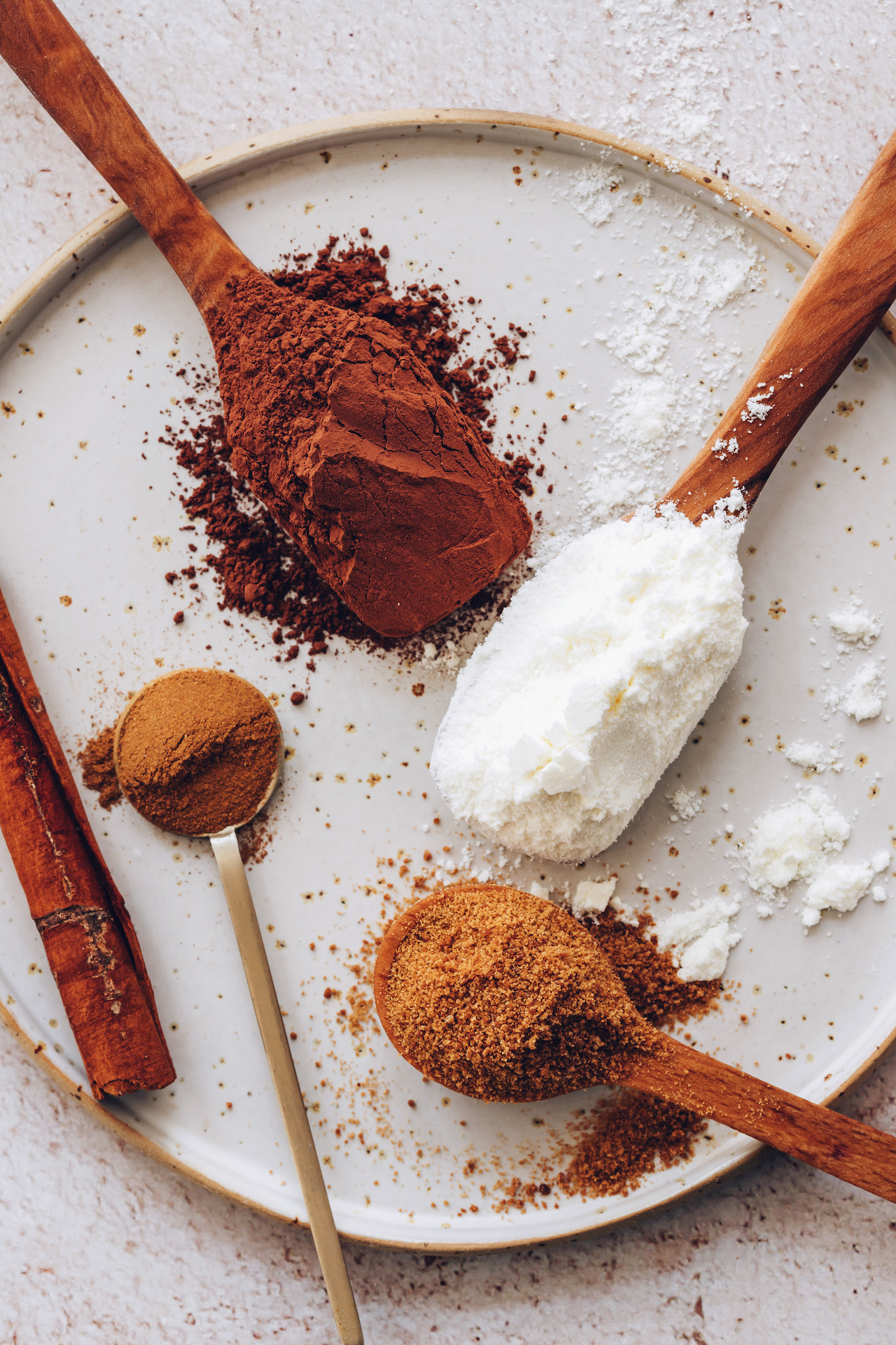 Spoonfuls of coconut milk powder, coconut sugar, cinnamon, and cocoa powder