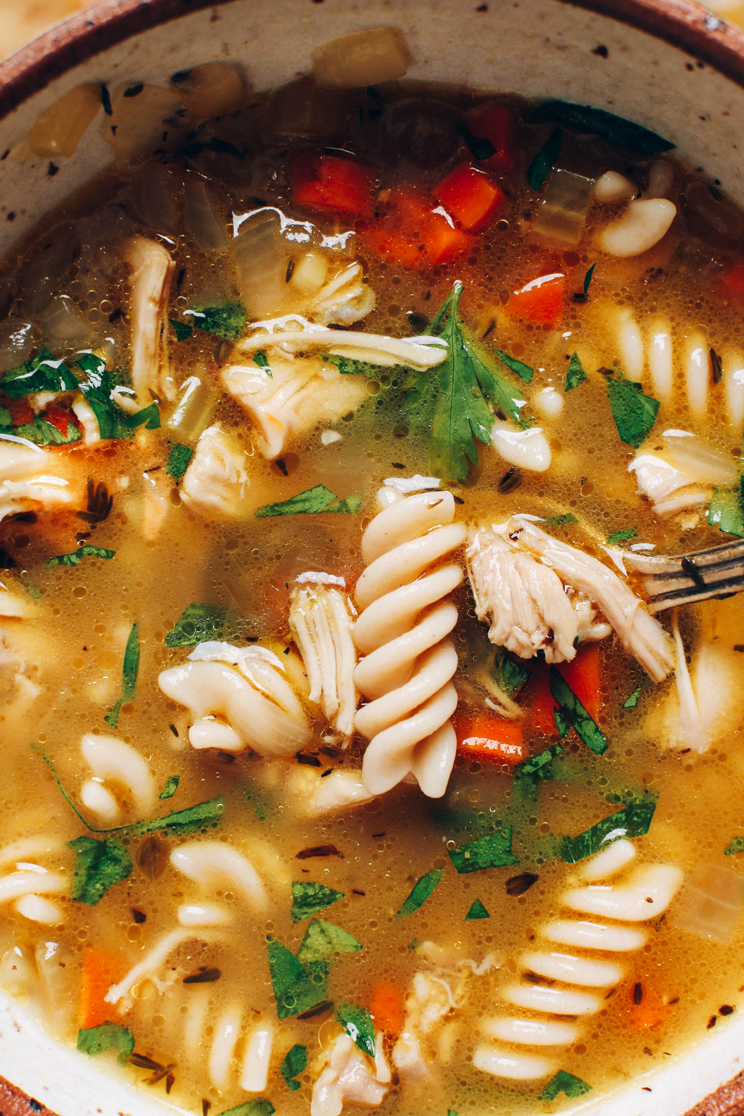Close up shot of a bowl of chicken noodle soup